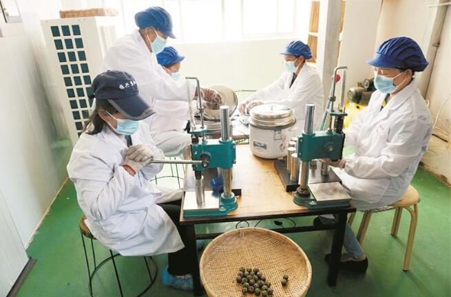 关于鲁掌镇：让茶香飘出深山的资讯