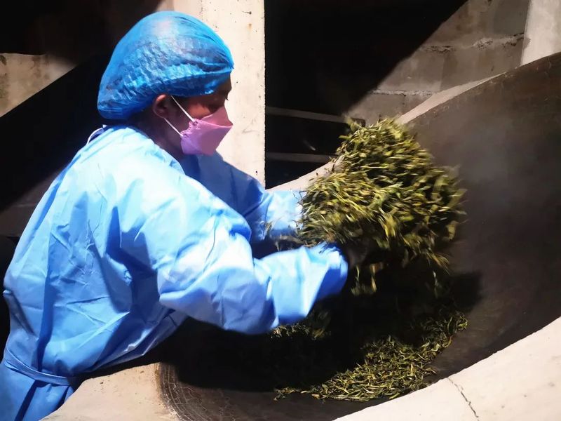 关于新抚镇：以招商促转型 让茶香飘更远的新闻