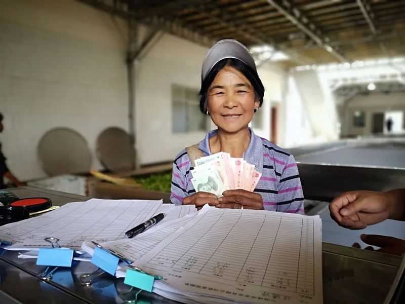 关于新抚镇：以招商促转型 让茶香飘更远的新闻(4)