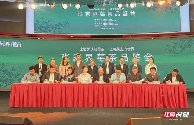 有关于签约9500万元 莓茶托起致富梦的相关信息