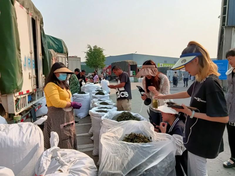 有关于春日茶山见·“易”茶  茶商来 茶市热的信息(2)