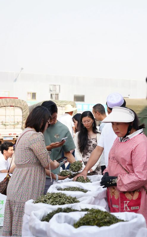 有关于春日茶山见·“易”茶  茶商来 茶市热的信息(1)