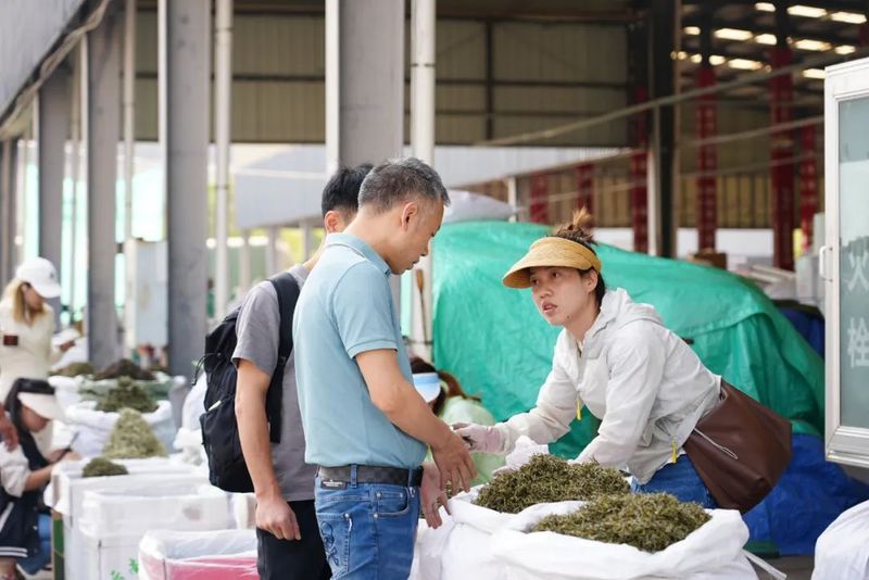 有关于春日茶山见·“易”茶  茶商来 茶市热的信息(3)