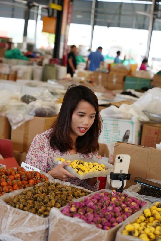 有关于春日茶山见·“易”茶  茶商来 茶市热的信息(4)