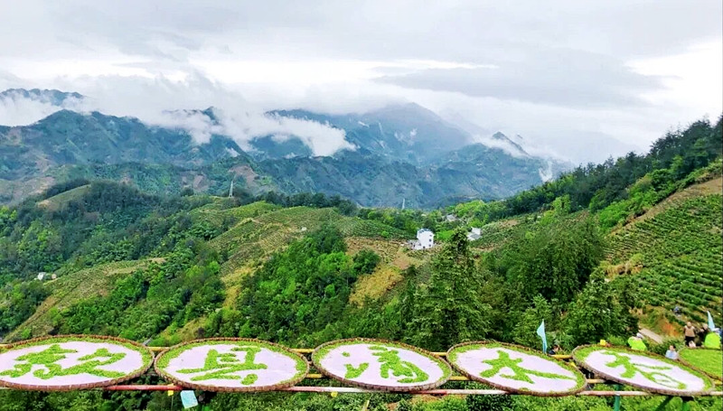 关于中国名茶之都·黄山——2023年歙县滴水香茶文化节隆重开幕的信息(10)