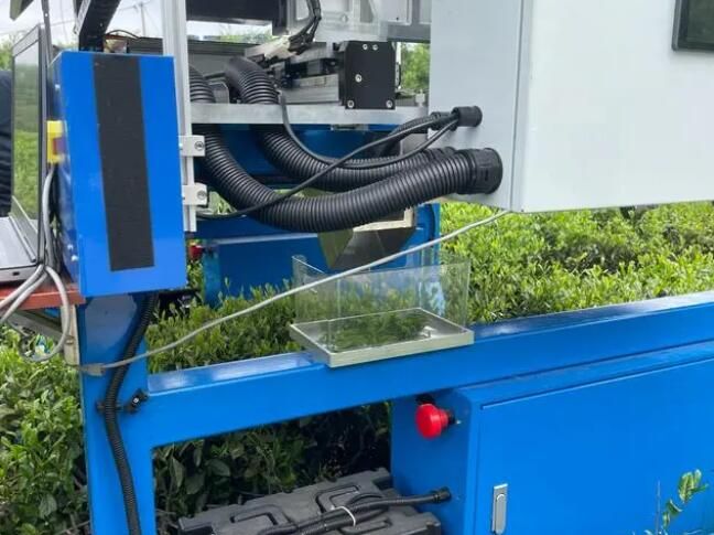 有关于浙江省种植装备技术重点实验室落户余杭 以AI技术解锁采茶“新姿势”的内容(1)