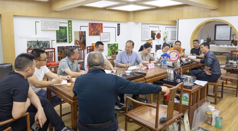 关于福建省茶业专家到松溪县指导白茶产业发展工作的相关信息