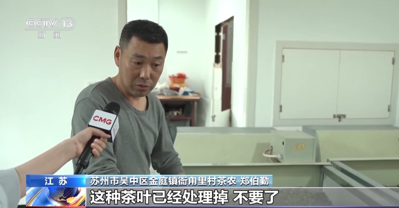 关于央视大幅聚焦！洞庭山碧螺春茶产业转型发展之路！的消息(2)