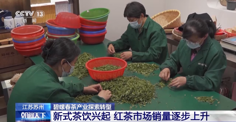 关于央视大幅聚焦！洞庭山碧螺春茶产业转型发展之路！的消息(3)