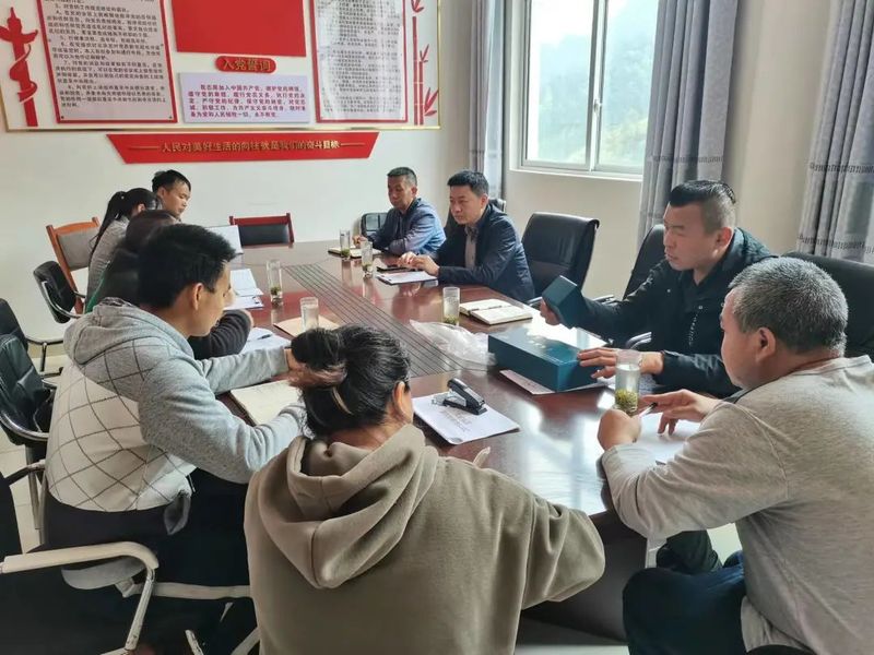 有关于都匀：群策群力提升茶园下树率的最新消息(1)