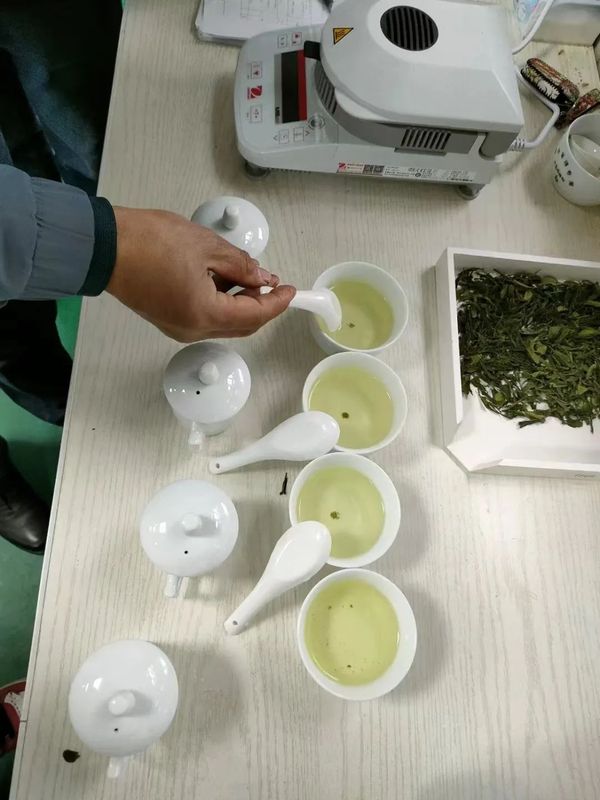 关于2023年江苏省茶叶学会首次茶叶加工工技能等级认定考试圆满结束的资讯(3)