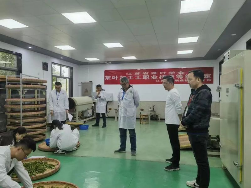 关于2023年江苏省茶叶学会首次茶叶加工工技能等级认定考试圆满结束的资讯(1)