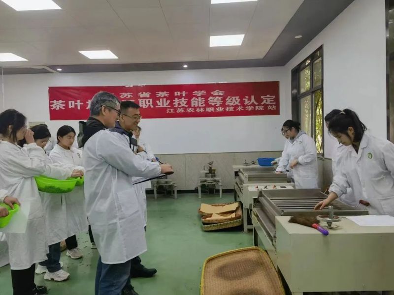 关于2023年江苏省茶叶学会首次茶叶加工工技能等级认定考试圆满结束的资讯(2)