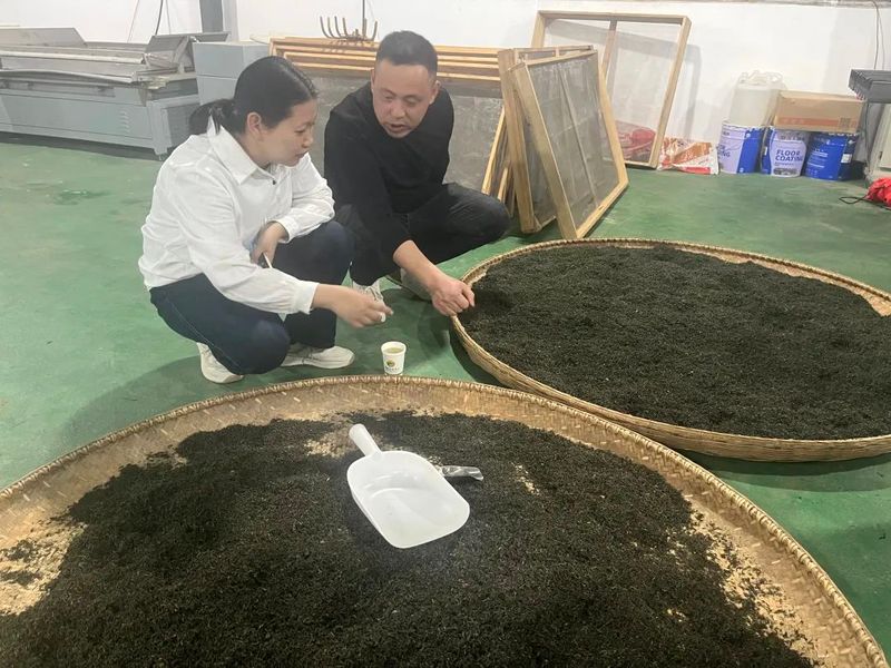 有关于太湖县刘畈乡发展茶产业 助推乡村振兴的相关内容(2)