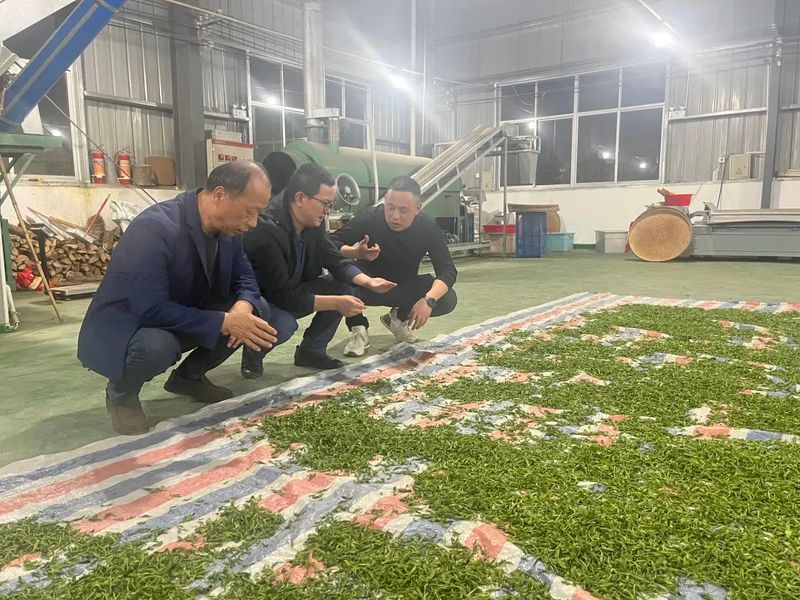 有关于太湖县刘畈乡发展茶产业 助推乡村振兴的相关内容