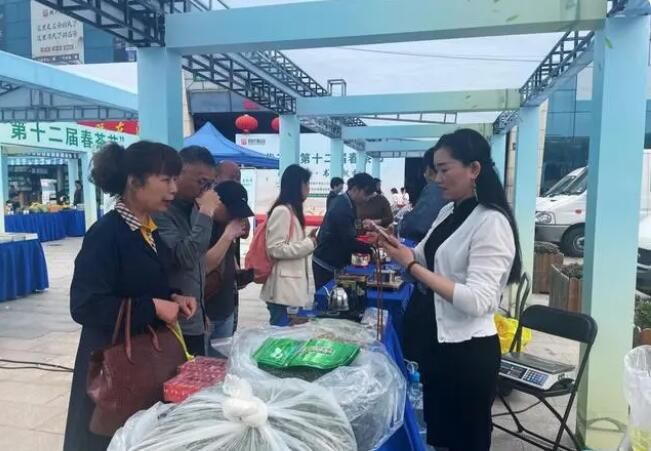 有关于春日茶韵，书墨飘香 现代茶城“第十二届春茶节”开启的相关内容(1)