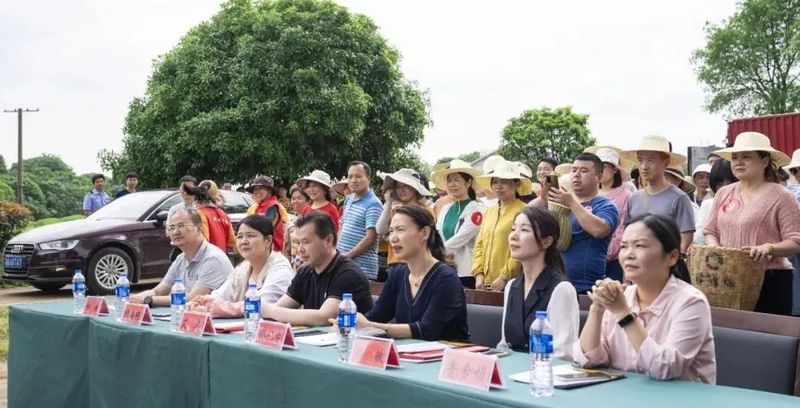 关于“茶韵怡清源 相约春华里”春华镇职工采茶技能比赛暨茶旅文化节在怡清源有机茶基地举行的最新消息(2)