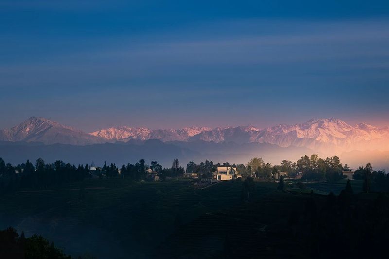 有关于四川名山，春日茶园宛若大地指纹的内容(2)