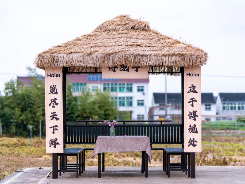 关于探索东方头茶的密码–沪枫茶园海尔冰箱冷柜开采节正式启动的新闻(5)