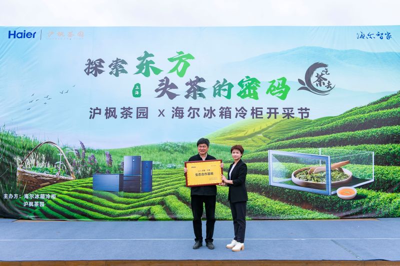 关于探索东方头茶的密码–沪枫茶园海尔冰箱冷柜开采节正式启动的新闻(4)