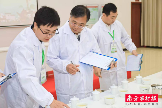 有关于以“园”赋能，连南大叶茶产业跑出高质量发展“加速度”的资讯(4)