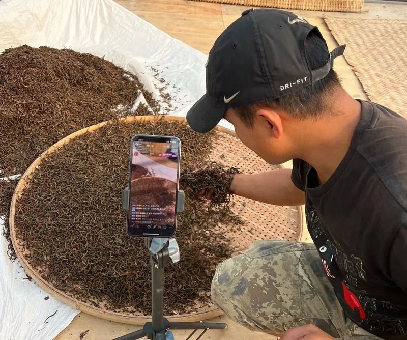 关于临沧马鞍山上茶人事的最新消息(5)