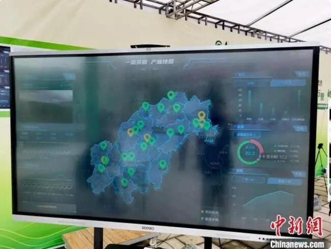 有关于浙西南“中国名茶之乡”聚焦茶科技 念好“绿叶”共富经的内容(1)