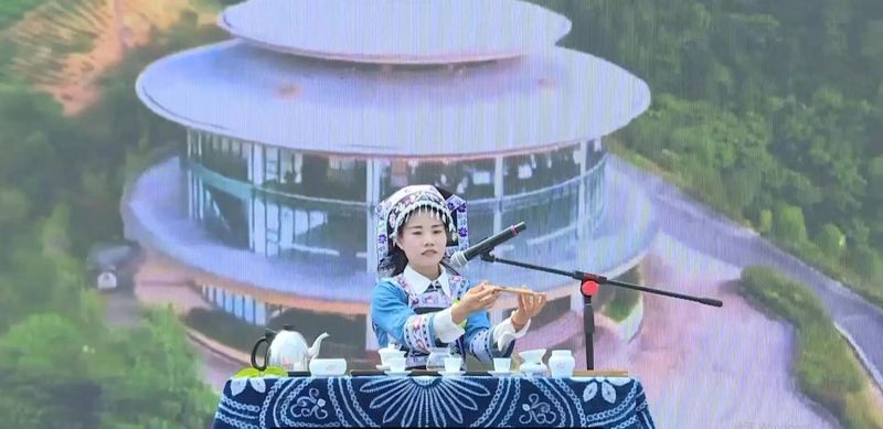 有关于黔西南州2023年“普安红杯”职工手工制茶暨茶艺技能大赛在普安县茶源街道举行的内容(3)