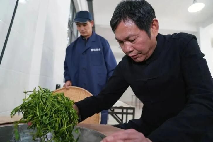 关于太平猴魁：曾被当作“梅干菜”，现成4000元一斤的“金叶子”的资讯(1)