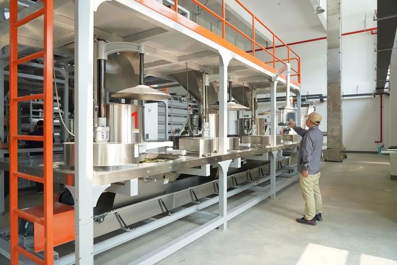 关于“智能制茶工”来到景迈山的相关内容(3)