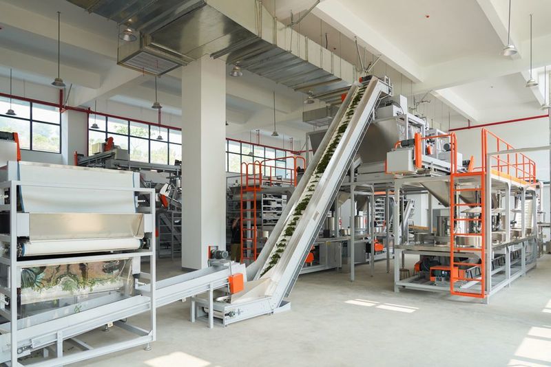 关于“智能制茶工”来到景迈山的相关内容(7)