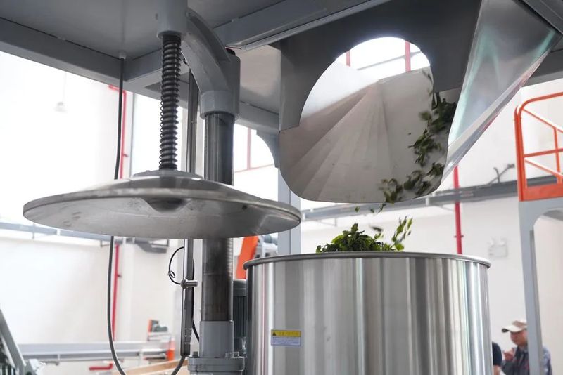 关于“智能制茶工”来到景迈山的相关内容(9)