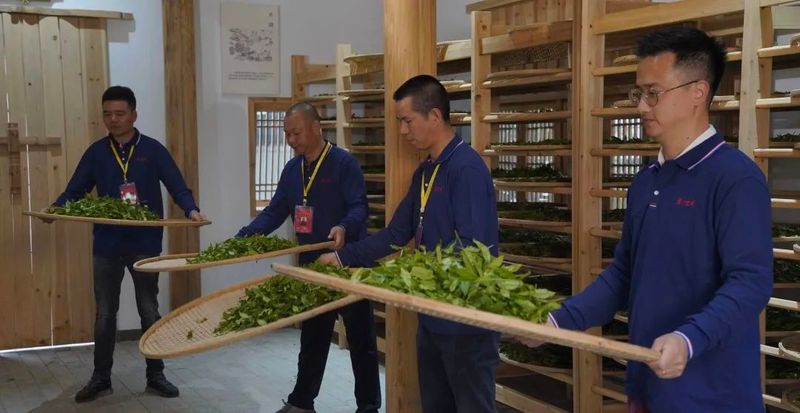 有关于茗川世府“筑梦十年 砥砺前行”2023年岩语杯制茶师大赛开幕的相关内容(10)