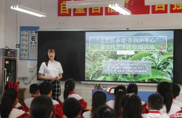 关于以青春之力助力城固县茶产业高质量发展的新闻(1)