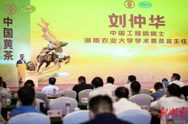 关于探索中国黄茶未来之路 2023首届黄茶产业发展大会在岳阳平江举办的相关信息(1)