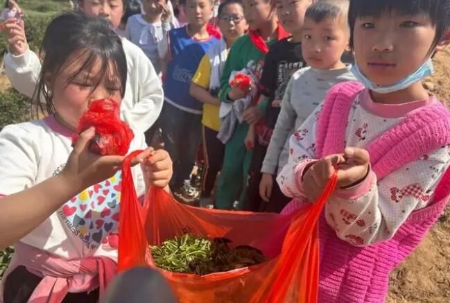 有关于新县陈店乡 不负春天好时光 茶乡学子采茶忙的新闻(6)