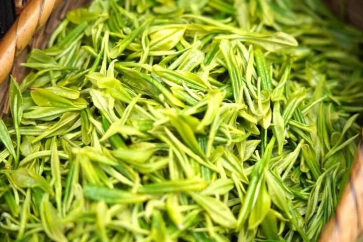 有关于第31届中国茶业科技年会，5个观摩点，亮点是啥？的信息(3)