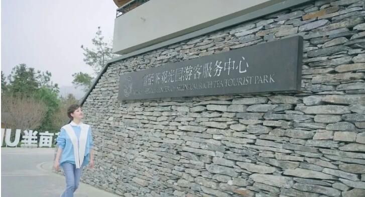 有关于第31届中国茶业科技年会，5个观摩点，亮点是啥？的信息(22)