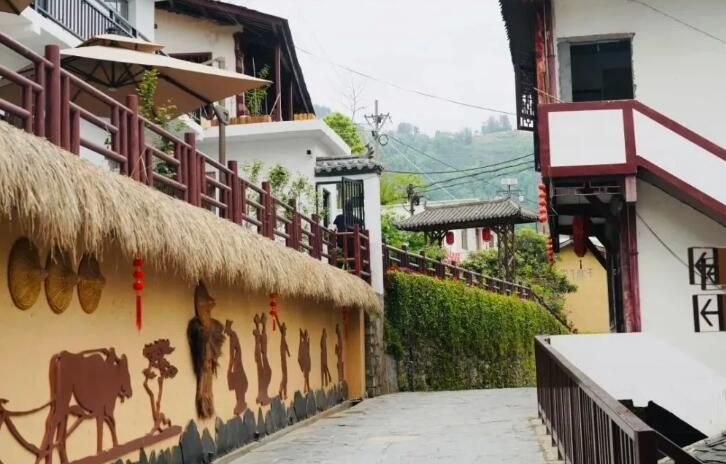 有关于第31届中国茶业科技年会，5个观摩点，亮点是啥？的信息(27)