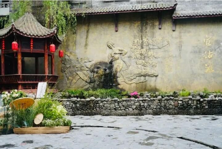 有关于第31届中国茶业科技年会，5个观摩点，亮点是啥？的信息(30)