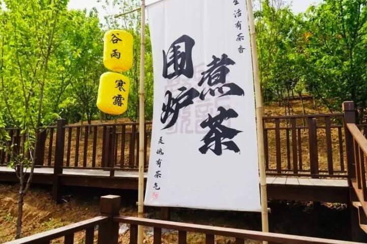 有关于第31届中国茶业科技年会，5个观摩点，亮点是啥？的信息(13)