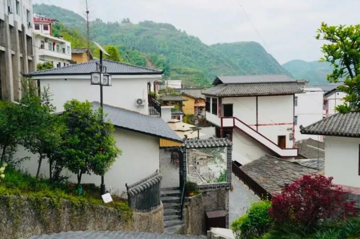 有关于第31届中国茶业科技年会，5个观摩点，亮点是啥？的信息(25)