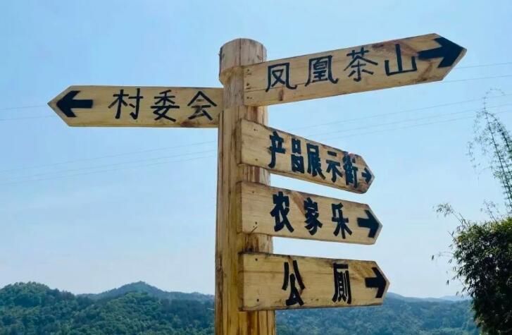 有关于第31届中国茶业科技年会，5个观摩点，亮点是啥？的信息(8)