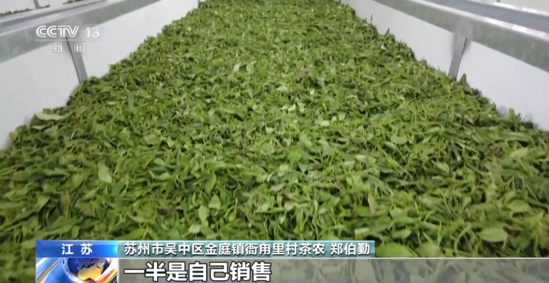 关于央视大幅聚焦！洞庭山碧螺春茶产业转型发展之路！的相关内容