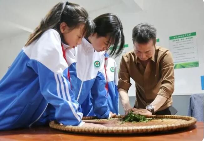 有关于江西莲花：采摘“初心”茶 感受劳动乐与艰的消息(1)