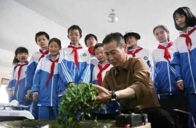 有关于江西莲花：采摘“初心”茶 感受劳动乐与艰的消息