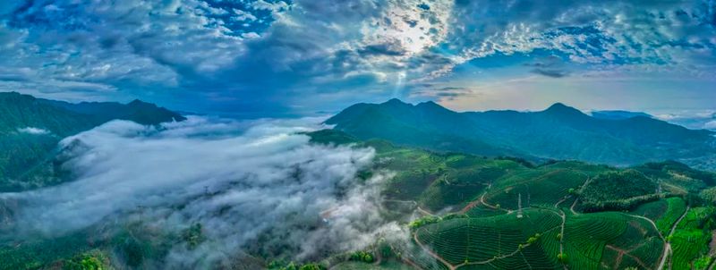 有关于福安：谷雨春浓茶飘香的相关信息
