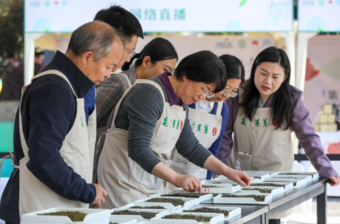 关于问茶莫干山的相关信息