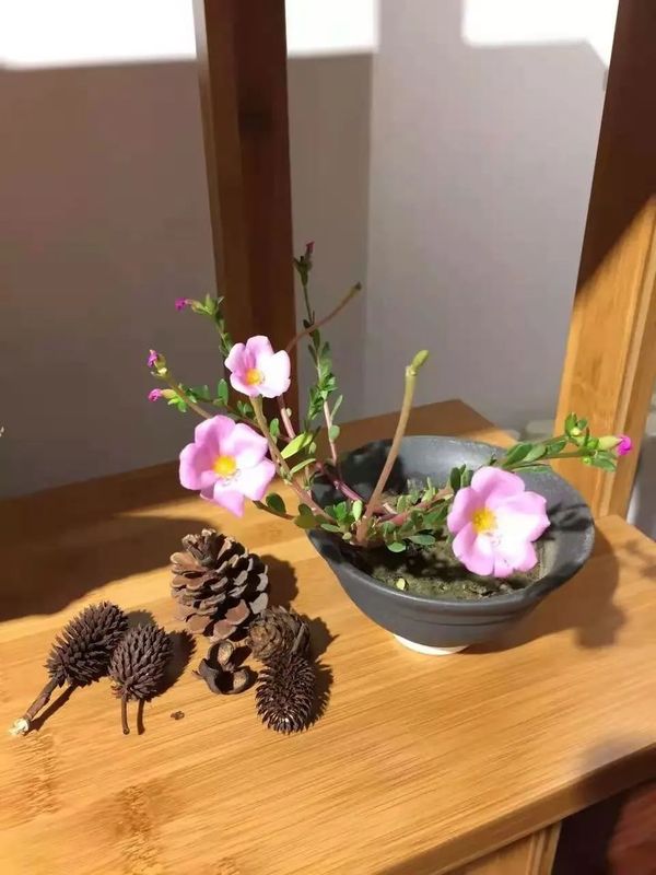 关于安住一席之间，闲煮一壶茶的新闻