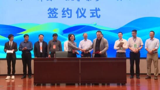 关于丽水茶产业数字化与高质量发展论坛暨“数字茶乡”发布的相关内容(13)